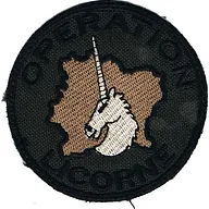 Opération Licorne (BV)