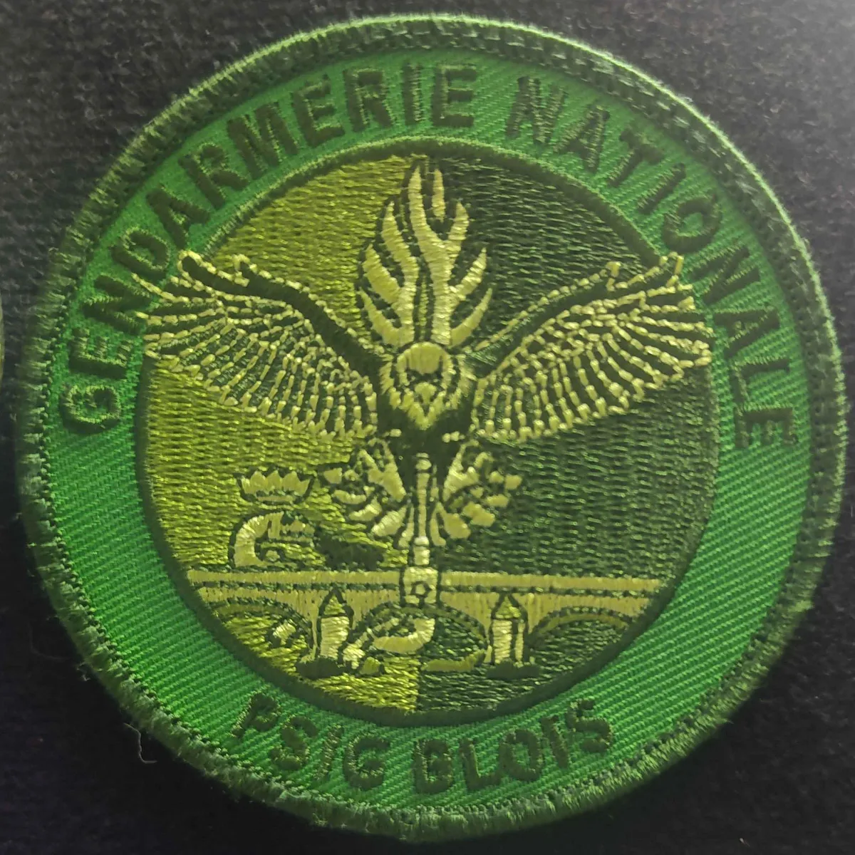 Peloton de Surveillance et d'Intervention de la Gendarmerie (PSIG) - Blois