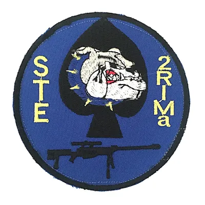 2e Régiment d'Infanterie de Marine - Compagnie d'Eclairage et d'Appui - STE