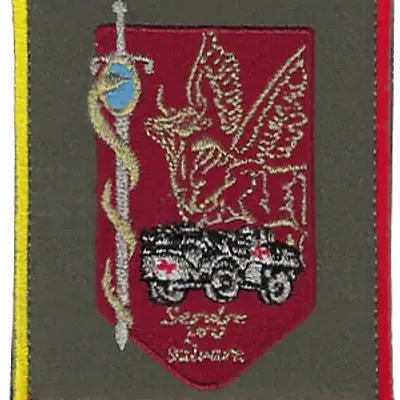 SSA : Régiment Médical Félin type 1 1ère NRBC