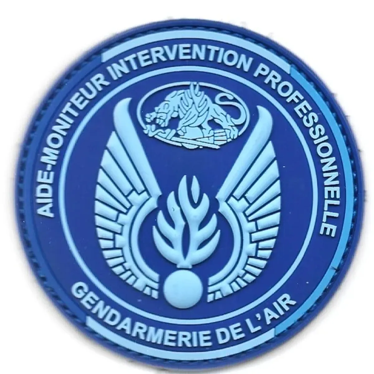 GAE - Aide-Moniteur Intervention Professionnelle 