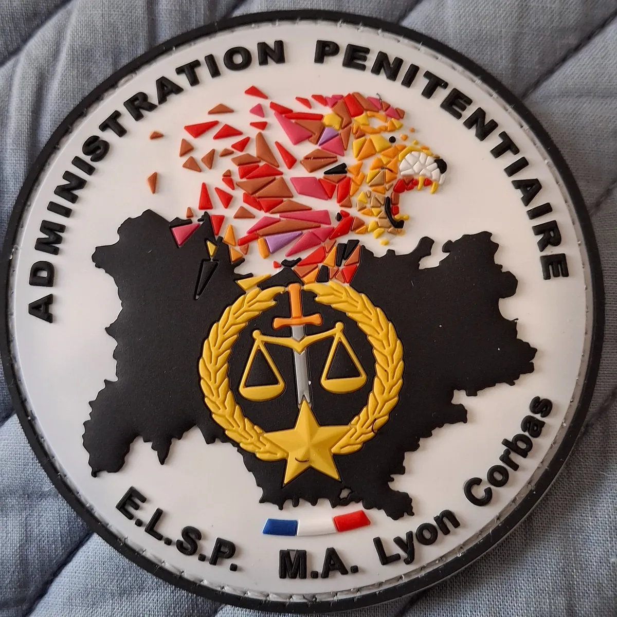 ELSP Lyon Corbas 69