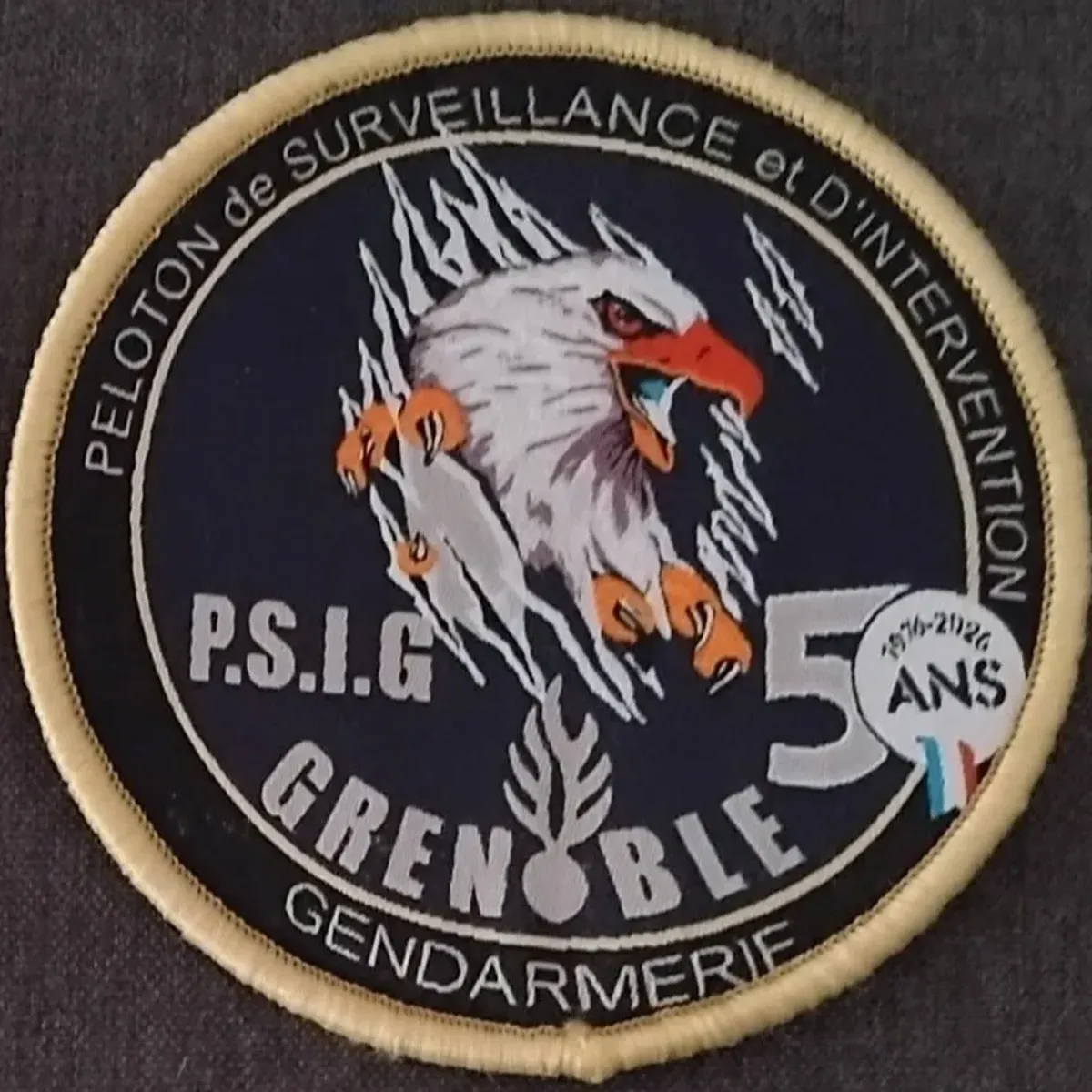 PSIG Grenoble 50 ans