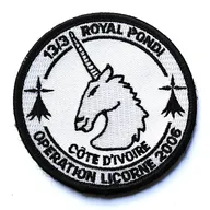 EGM 13/3 Pontivy - Opération Licorne