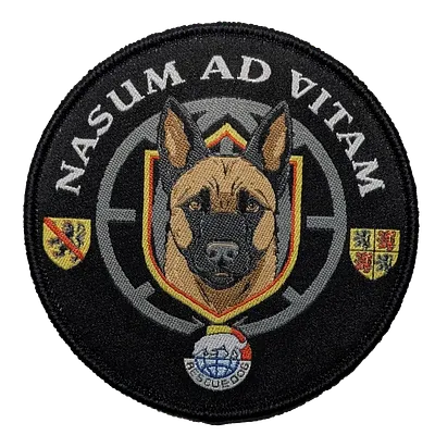 Rescue Dog - Province de Namur et du Hainaut
