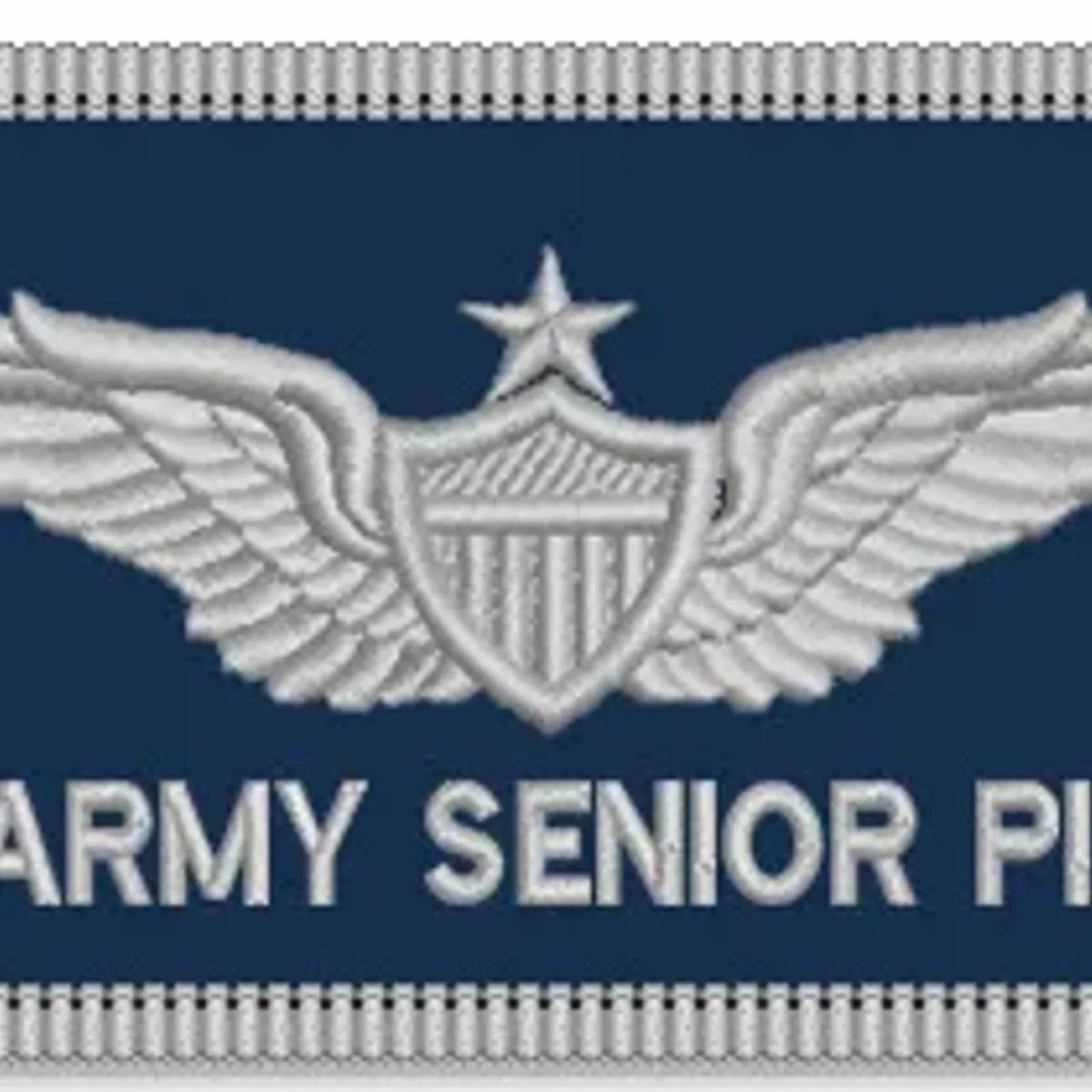 US Army Pilot