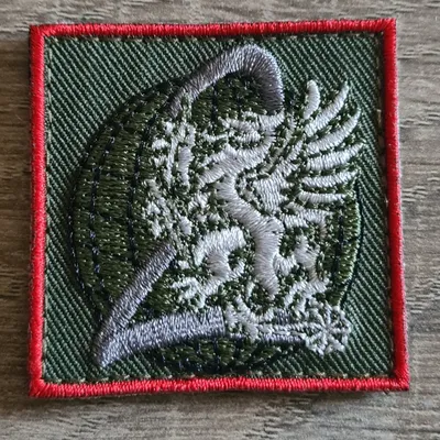 54e RT / 2e Cie / Second modèle 