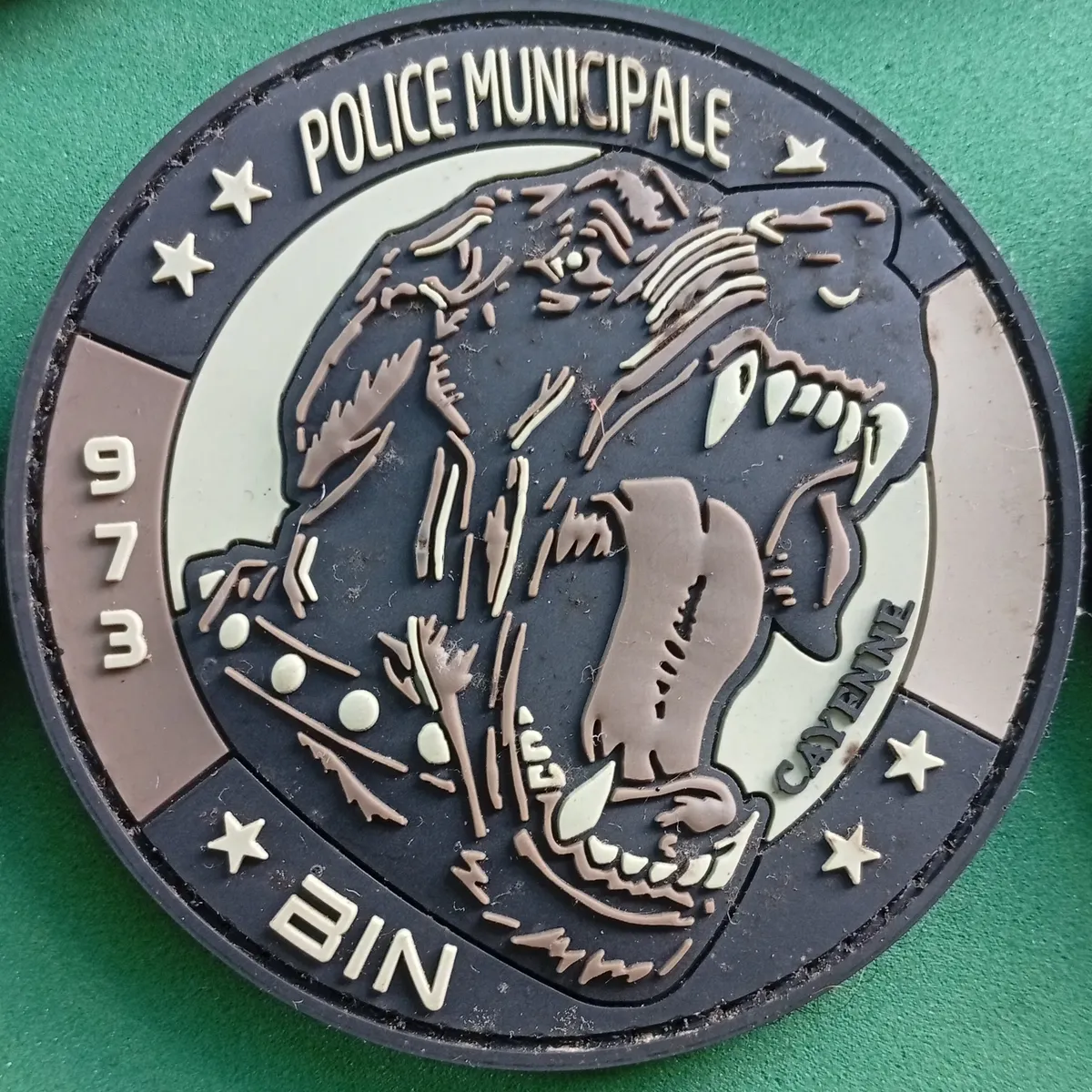 PM - Cayenne - K9