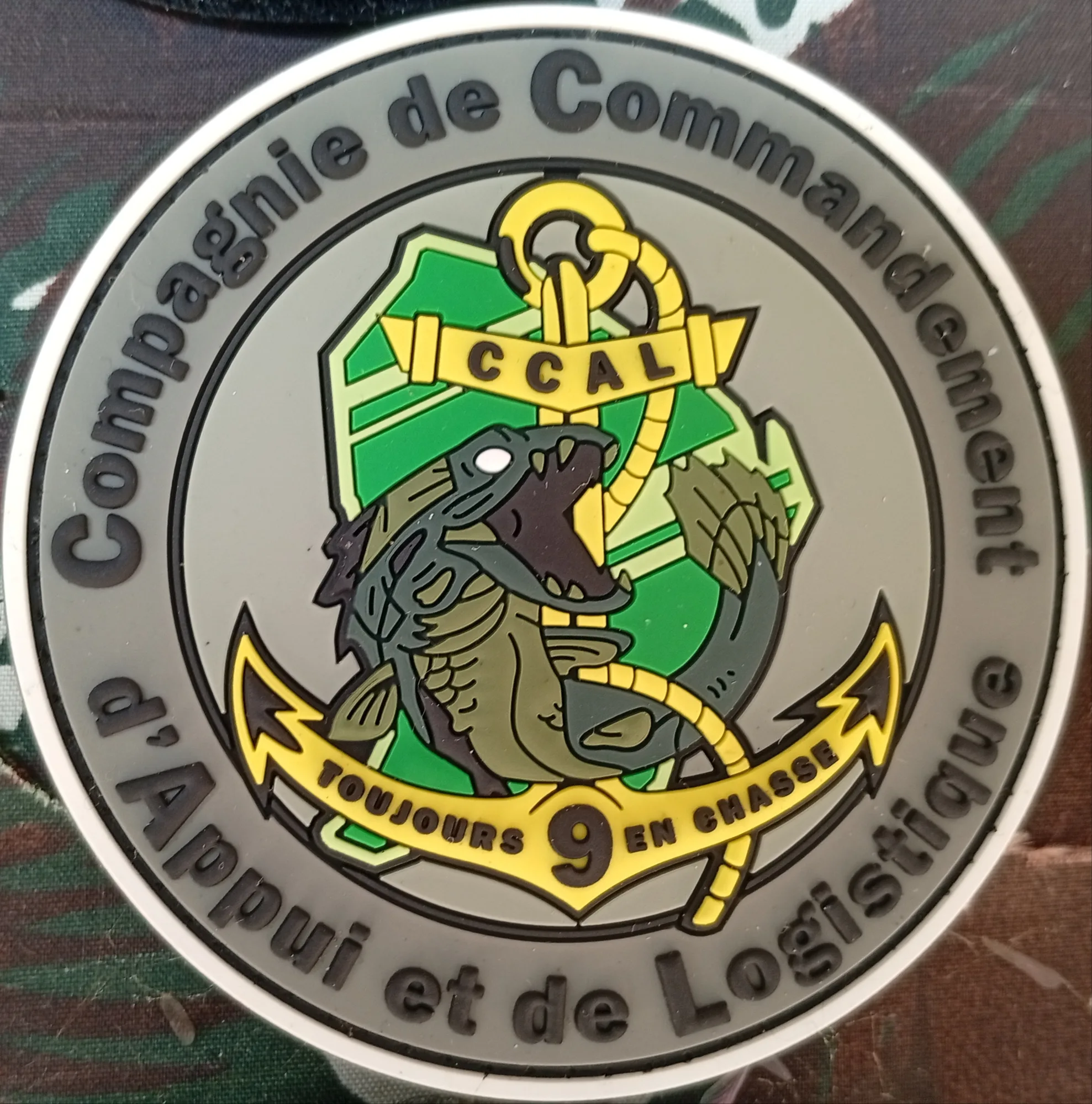 9e RIMa -  Compagnie de Commandement, d’Appui et de Logistique