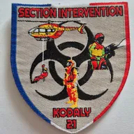 Section intervention kodaly 21