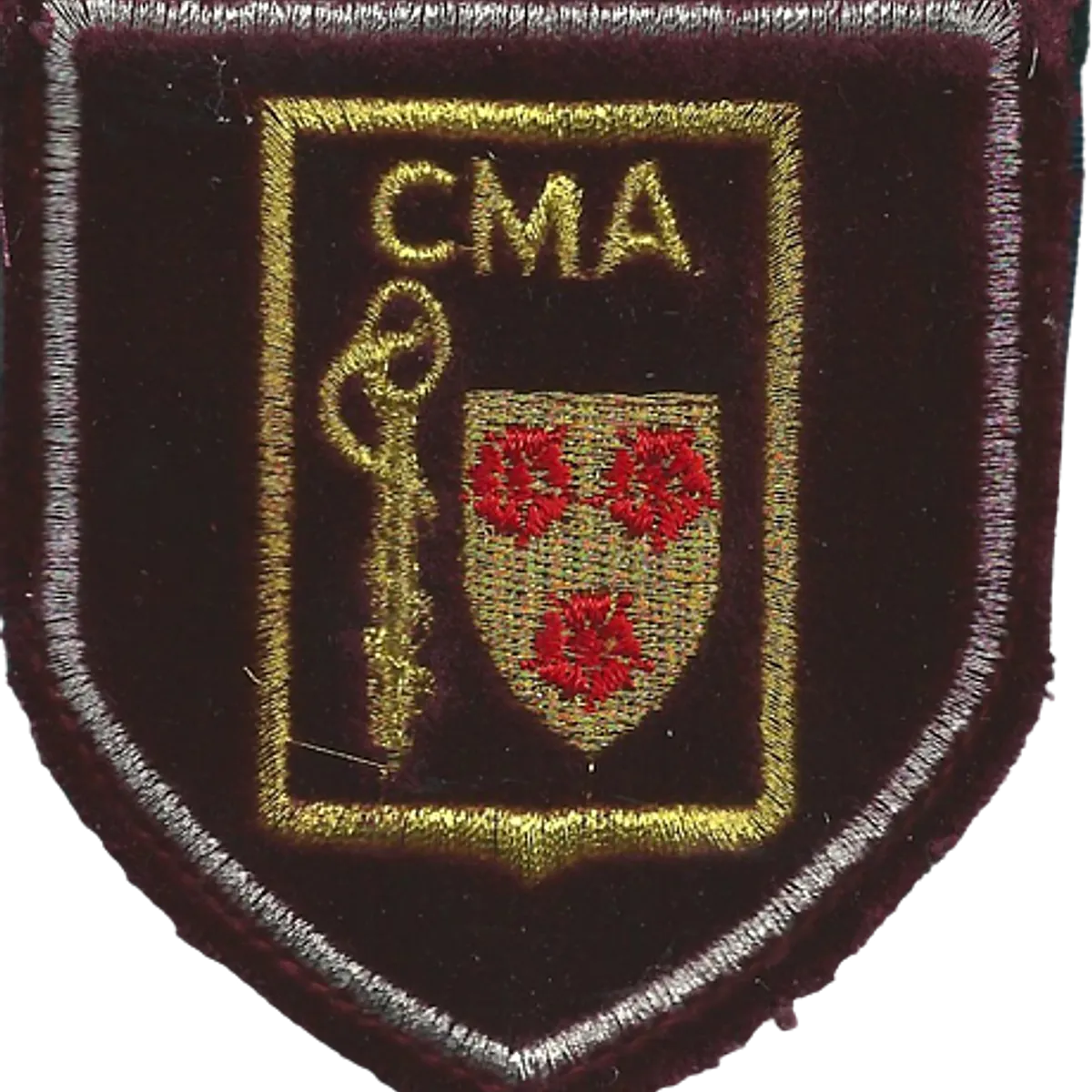 SSA : CMA Grenoble