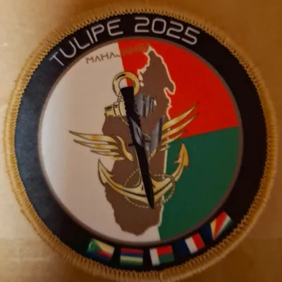 Exercice Tulipe 2025
