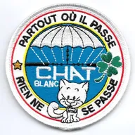 Chat Blanc - Partout où il passe , rien ne se passe