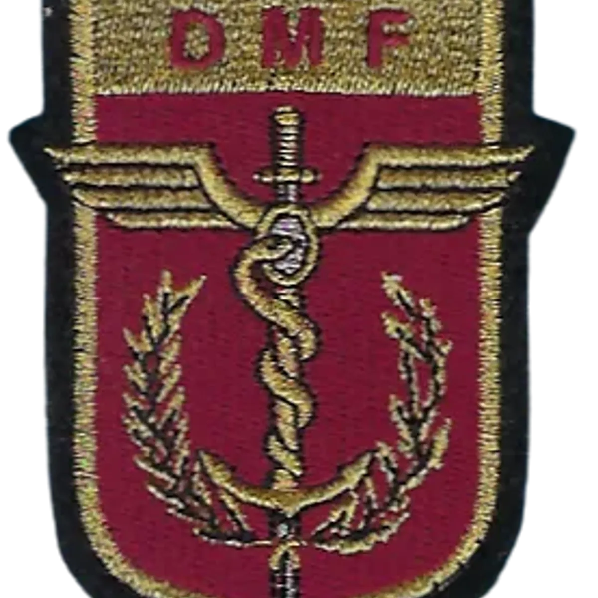 SSA : Direction de la Médecine des Forces DMF V2