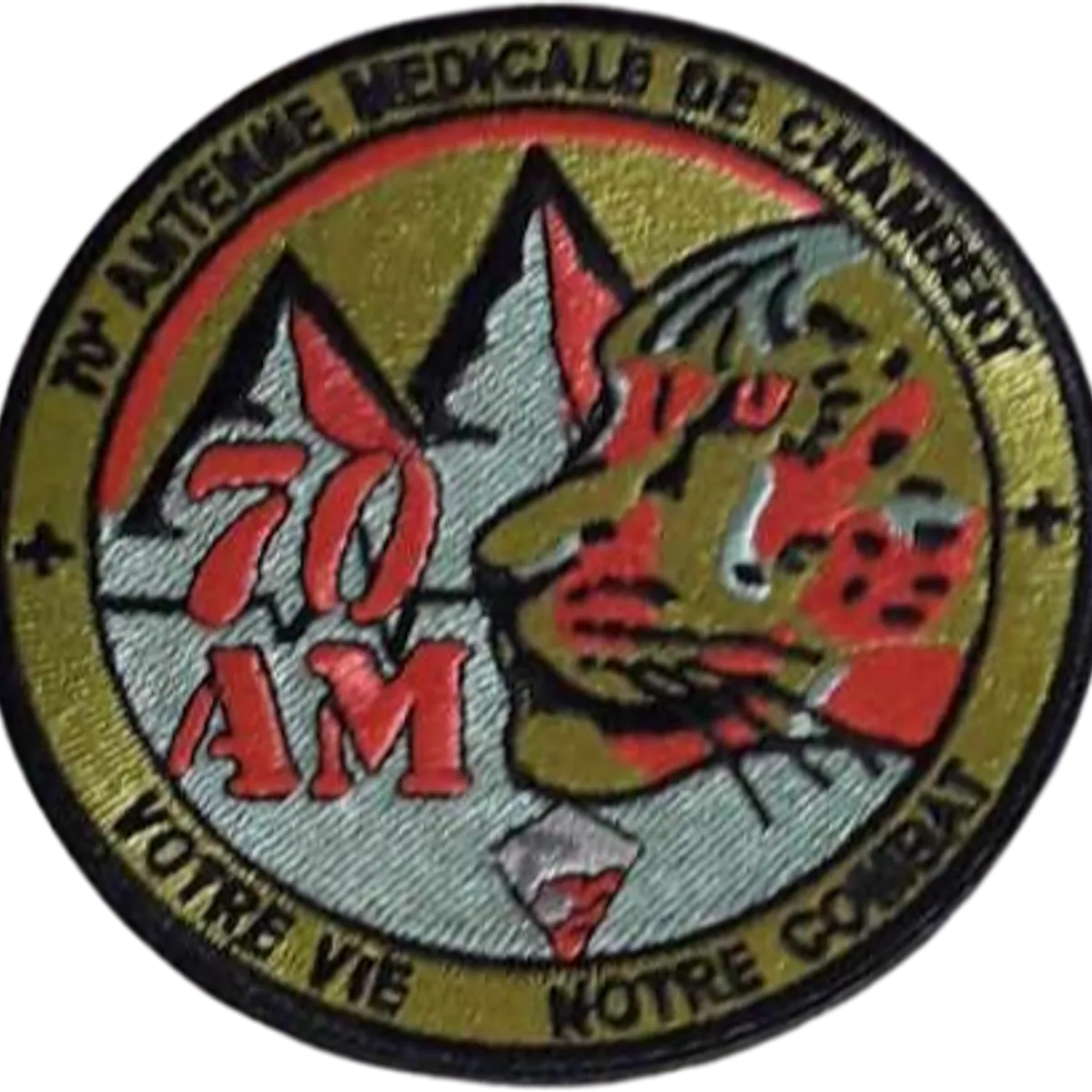 SSA : Antenne Médicale 70 (Chambéry)