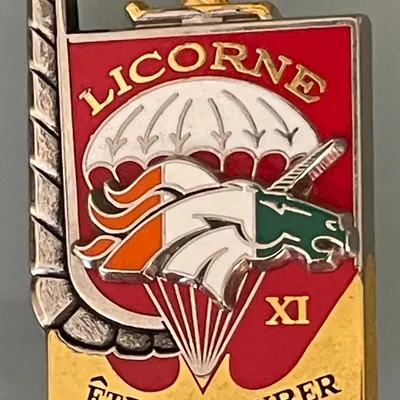 3e RPIMa, Licorne XI