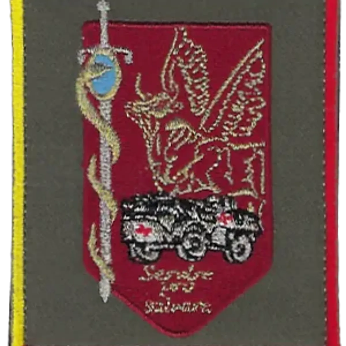 SSA : Régiment Médical Félin type 1 1ère NRBC