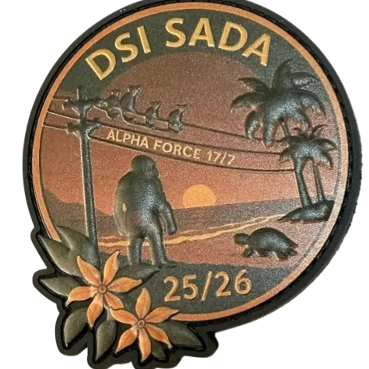 EGM 17/7 Thionville - DSI Sada - P Alpha - Mayotte