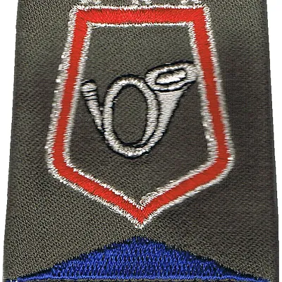Passant d'épaule du Groupe d'Escadrons 1er Régiment de Chasseurs - Etat-Major