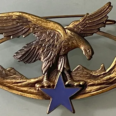Brevet Spécialité Troupes de Montagne, bronze
