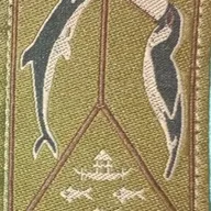 Forces Armées en Guyane