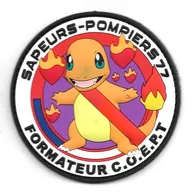 SDIS 77 - Formateur COEPT