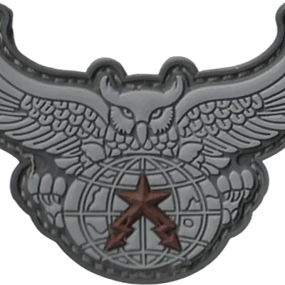 2ème Régiment de Hussards - Brevet de transmetteur en patrouille de recherche profonde