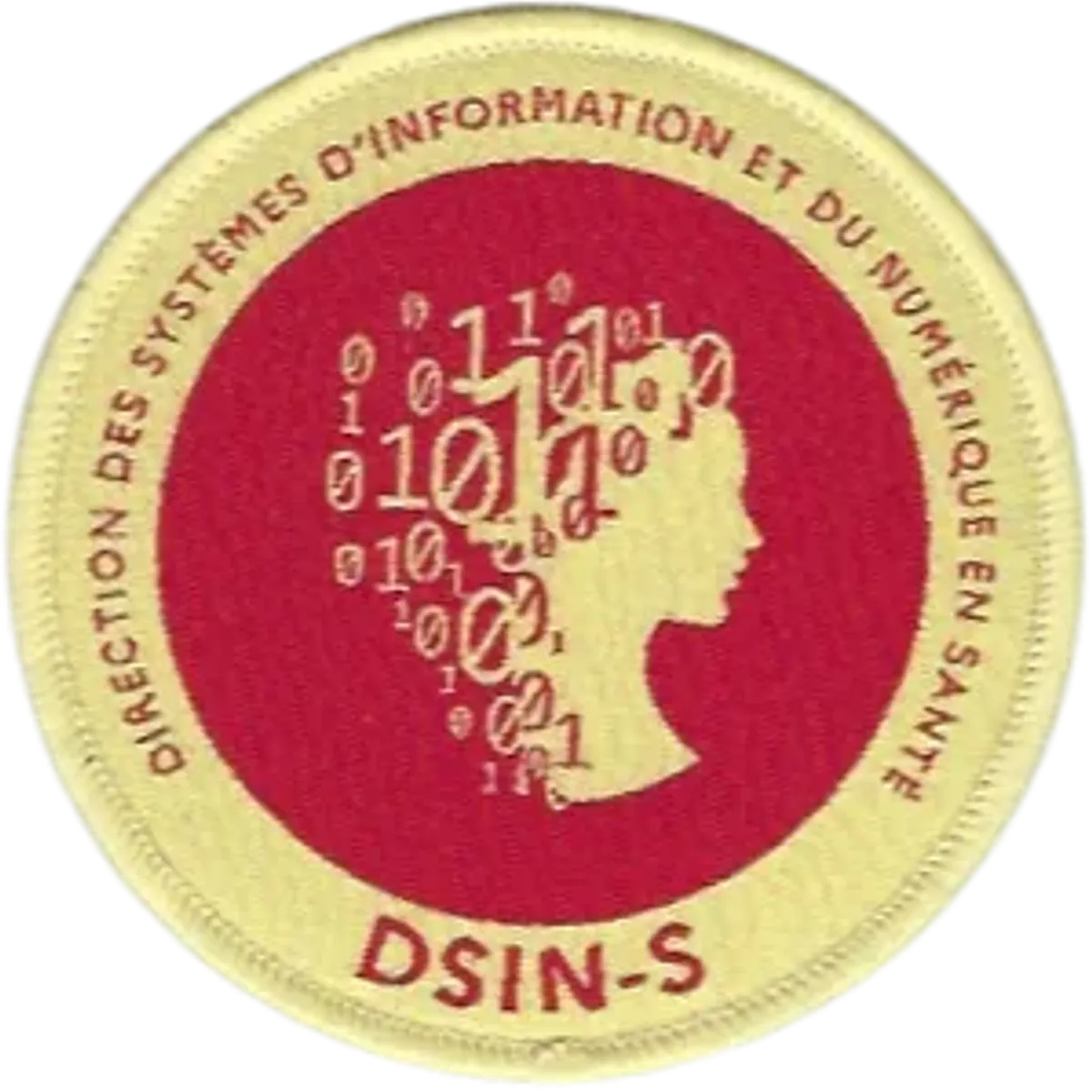 SSA : Direction des Systèmes d'Information et du Numérique - Santé DSIN-S
