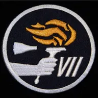 Gemini-7 officiel - 1