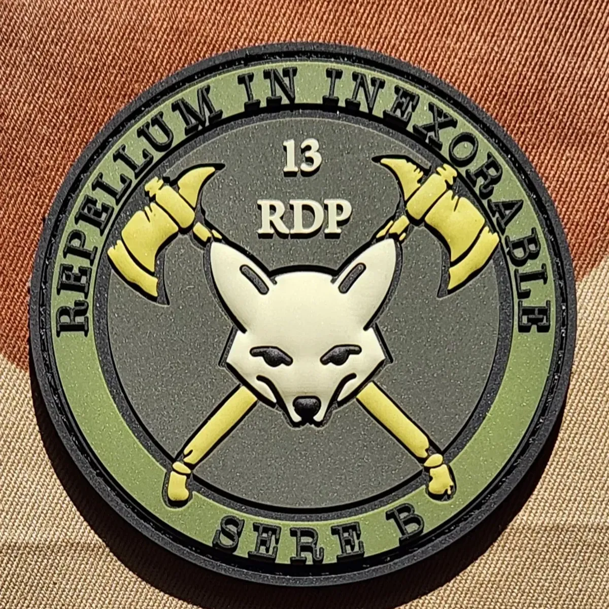 13e RDP - 1er escadron - stage SERE niveau B