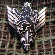 6e RHC - Régiment d'Hélicoptères de Combat