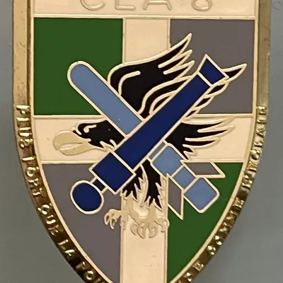 8e RI, CEA