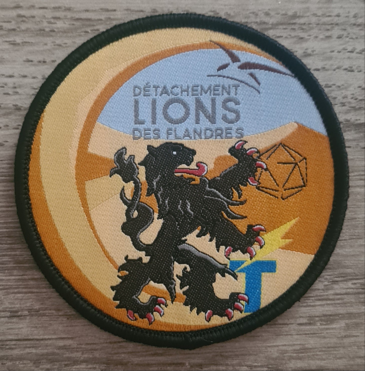 FFS / Détachement Lions des Flandres / DETSIC