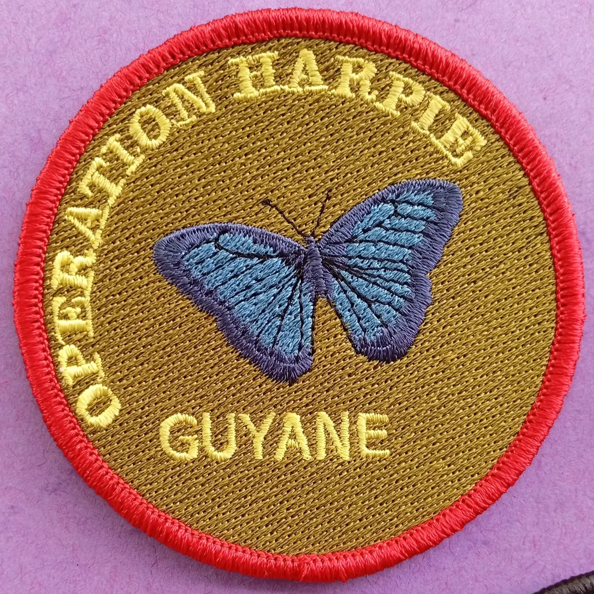 Opération Harpie - Guyane - morpho
