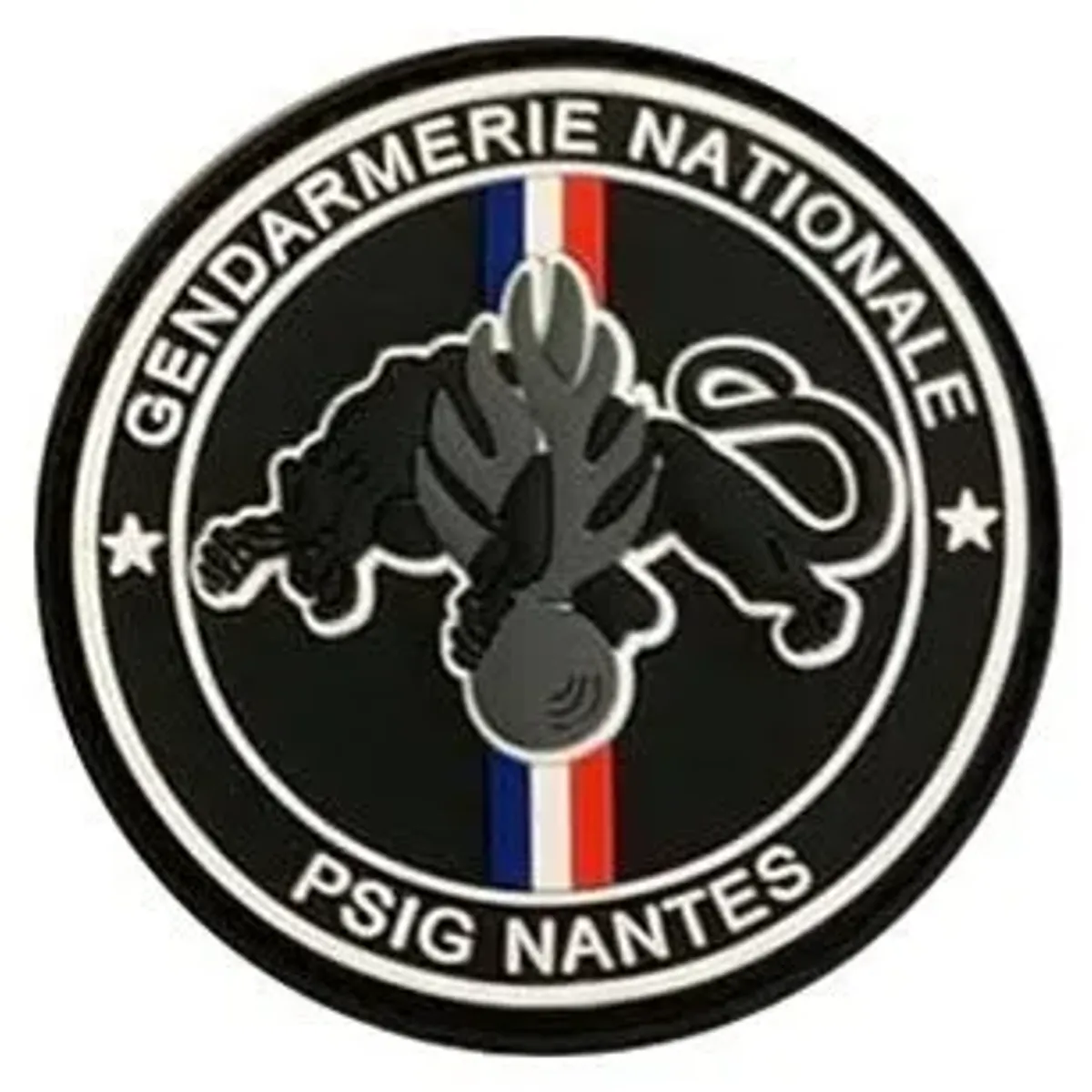 PSIG - Nantes
