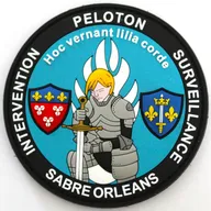 Psig Sabre Orléans