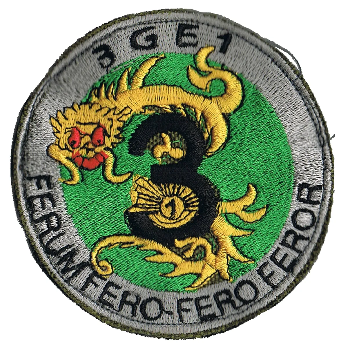 Groupe d'Escadrons 1er Régiment de Chasseurs - 3ème Escadron