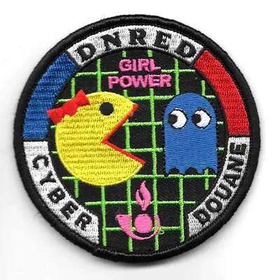 Cyberdouane (féminin)