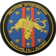 PI EGM 25/1 Maisons-Alfort