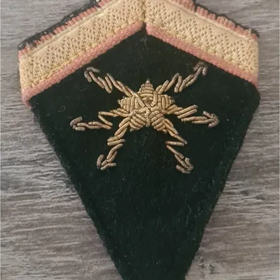 Losange type cerf volant / Télégraphistes Coloniaux / Sergent 
