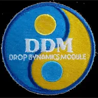 STS 51-B Wang DDM