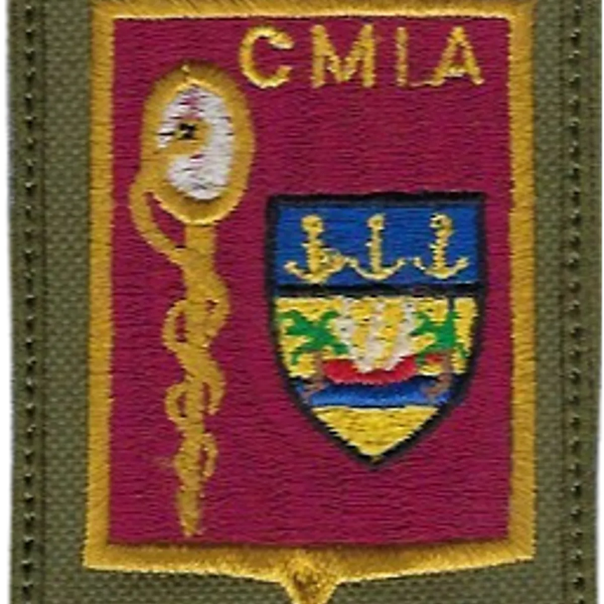 SSA : CMIA FFCI V2