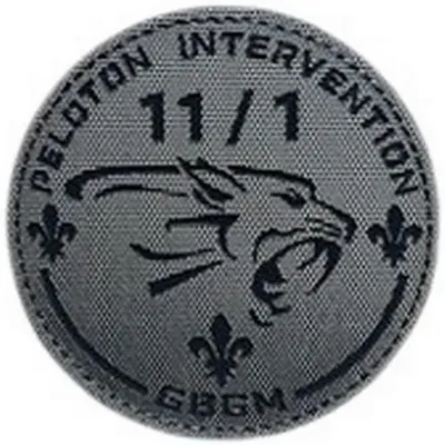 PI EGM 11/1 Satory GBM