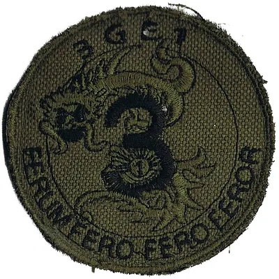 Groupe d'escadrons 1er Régiment de Chasseurs - 3ème Escadron (BV)
