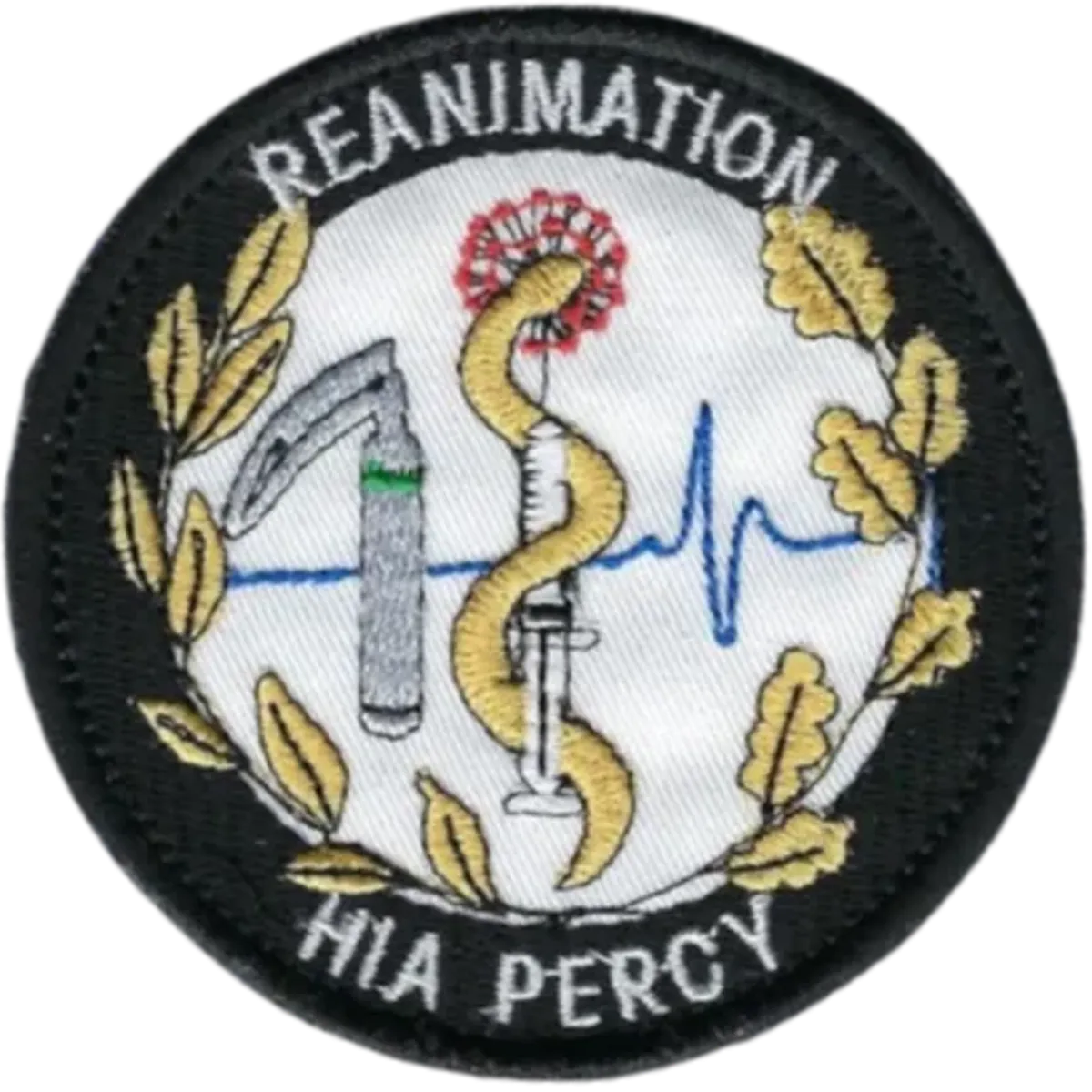 SSA : HIA Percy Réanimation