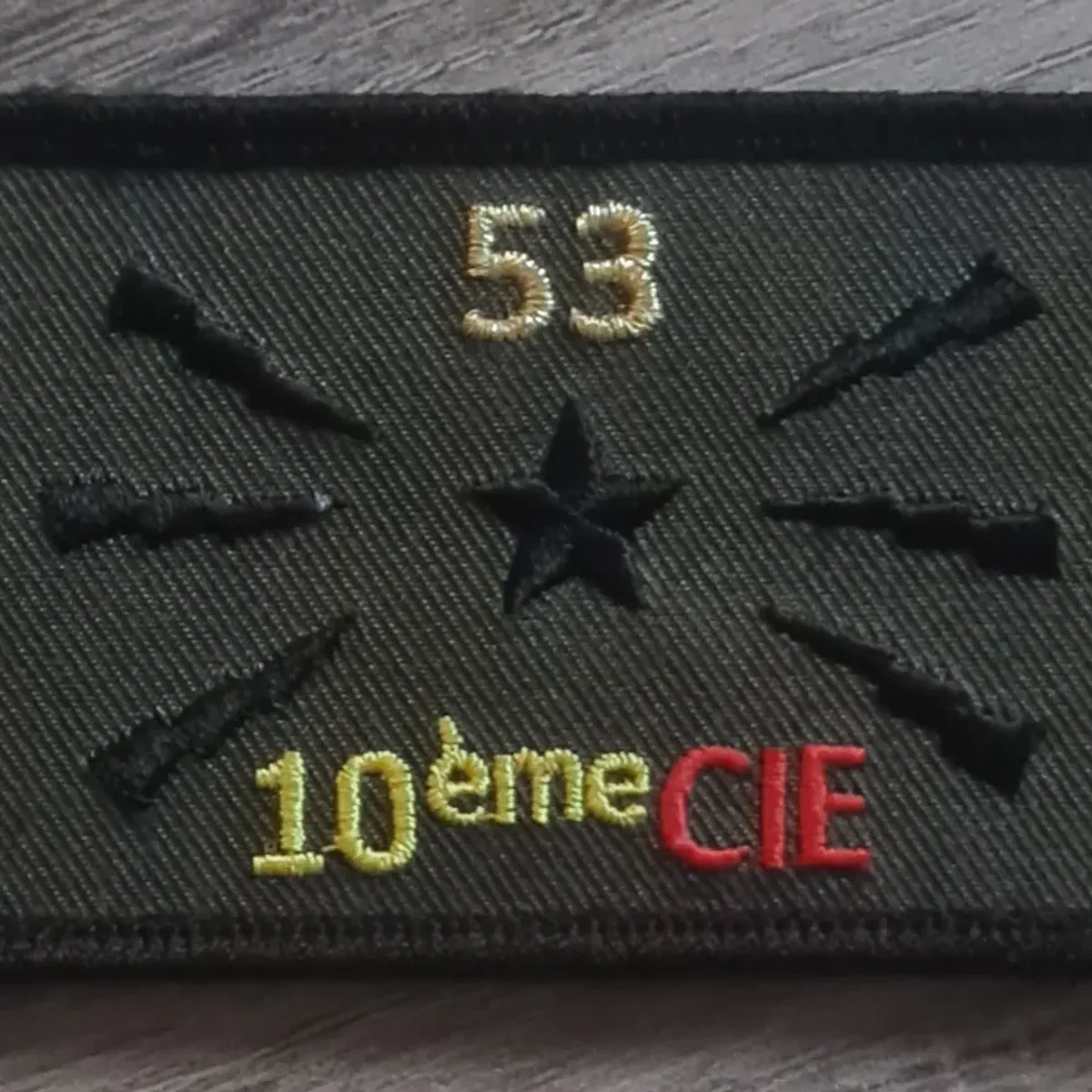 53e RT / 10e Cie 