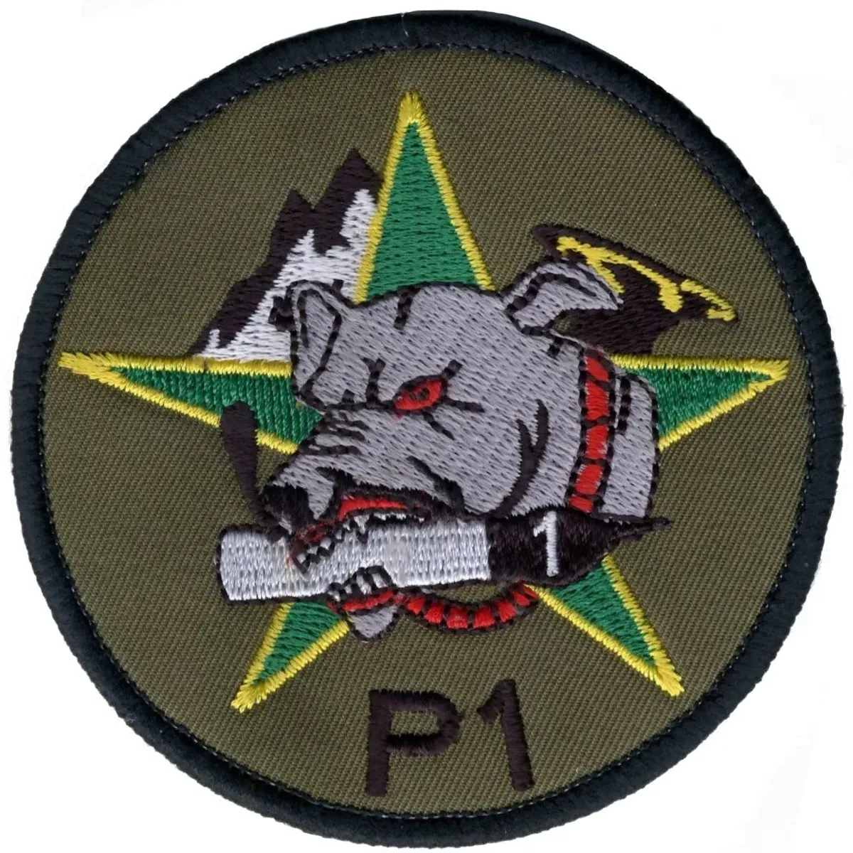 4ème Régiment de Chasseurs - 4ème Escadron - 1ier Peloton