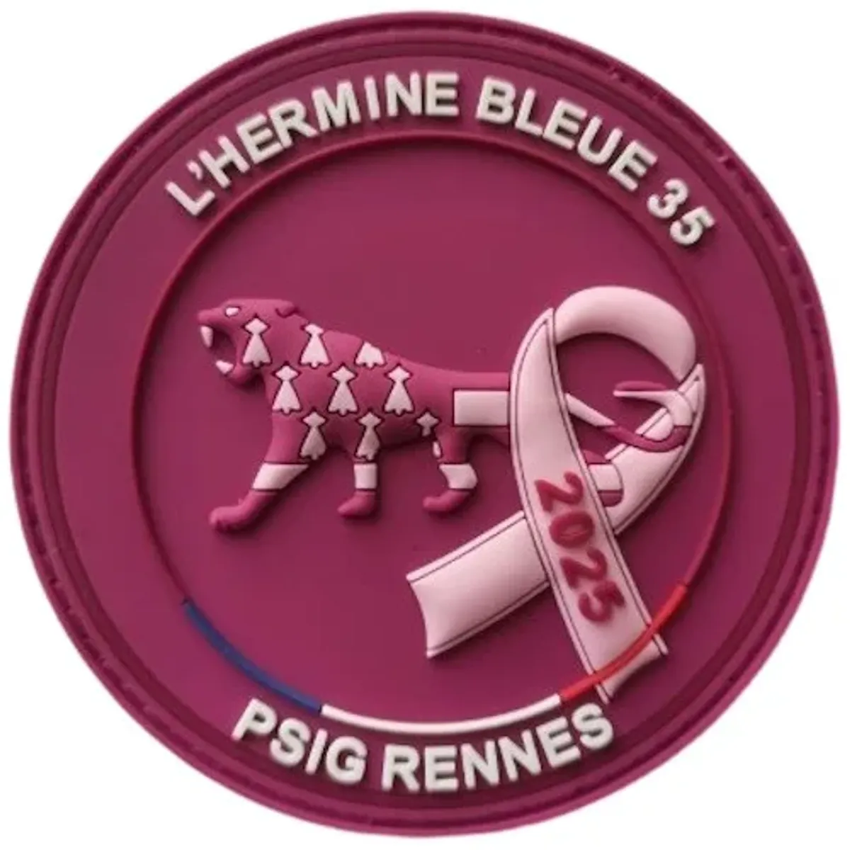 PSIG Rennes - L' Hermine bleue 35 - Octobre rose