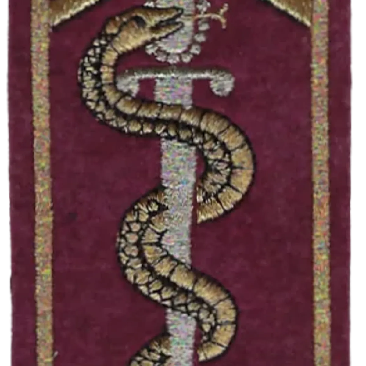 SSA : ESOSSA Ecole des Sous-Officiers du SSA Orléans Cadre et serpent dorés