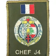 1er Régiment d'Infanterie de Marine - Opération DAMAN - Chef J4